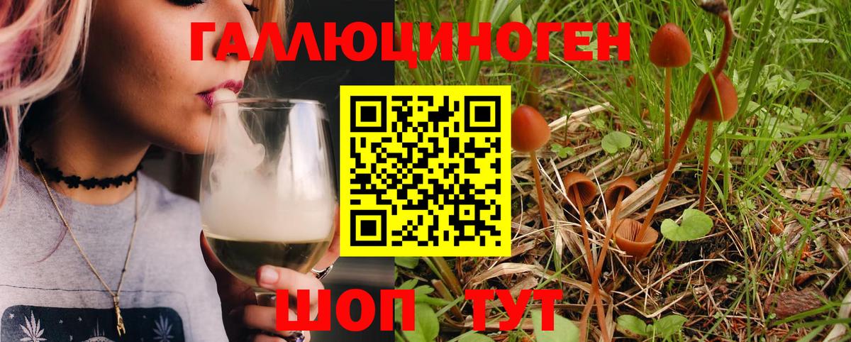 Псилоцибиновые грибы GOLDEN TEACHER  Псилоцибиновые грибы Magic Shrooms  Вход с VPN  купить   Черкесск 