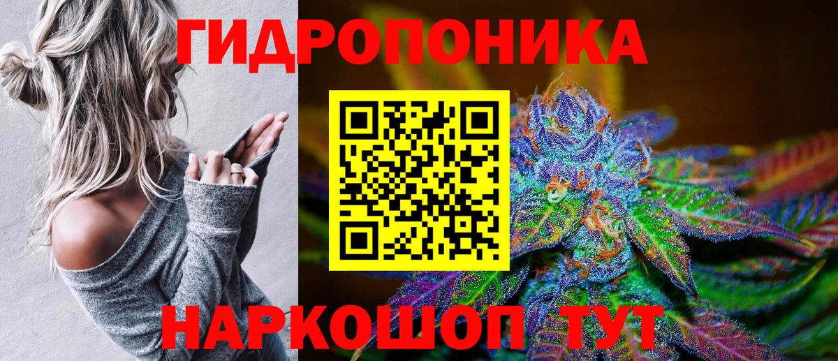 Марихуана ГИДРОПОН  Конопля Ganja  Черкесск  Вход с VPN 